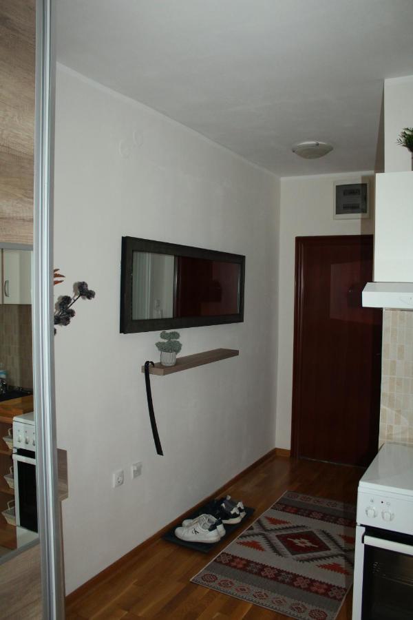 Downtown Apartment Novi Sad Buitenkant foto